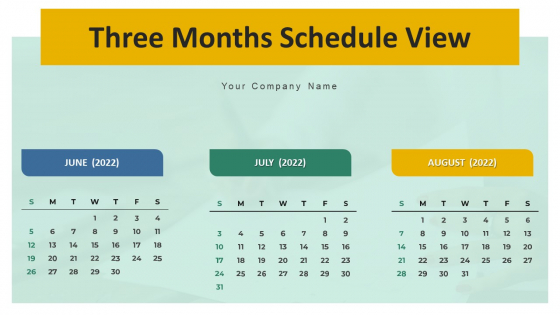 Three Months Schedule View Ppt PowerPoint Presentation Complete Deck With Slides