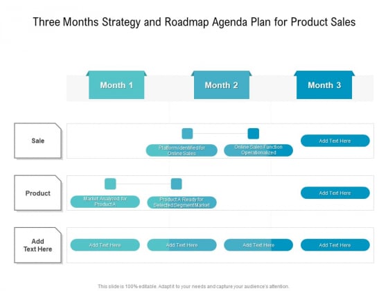 Three Months Strategy And Roadmap Agenda Plan For Product Sales Background