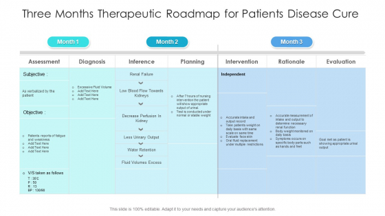 Three Months Therapeutic Roadmap For Patients Disease Cure Brochure Three Months Therapeutic Roadmap For Patients Disease Cure Brochure