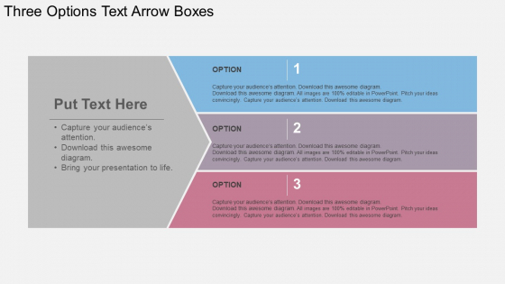 Three Options Text Arrow Boxes Powerpoint Templates