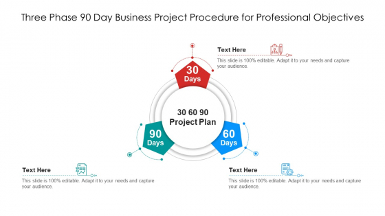 Three Phase 90 Day Business Project Procedure For Professional Objectives Ppt PowerPoint Presentation Gallery Grid PDF