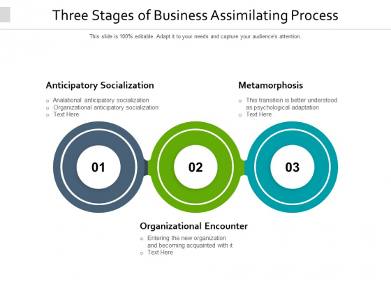 Three Stages Of Business Assimilating Process Ppt PowerPoint Presentation Infographic Template Themes PDF Three Stages Of Business Assimilating Process Ppt PowerPoint Presentation Infographic Template Themes PDF