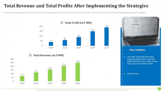 Total Revenue And Total Profits After Implementing The Strategies Slides PDF