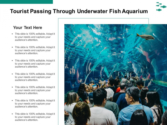 Tourist Passing Through Underwater Fish Aquarium Ppt PowerPoint Presentation Icon Files PDF