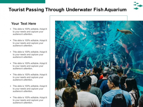 Tourist Passing Through Underwater Fish Aquarium Ppt PowerPoint Presentation Icon Files PDF Tourist Passing Through Underwater Fish Aquarium Ppt PowerPoint Presentation Icon Files PDF