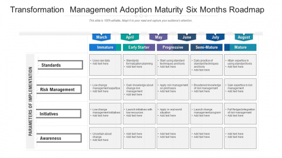 Transformation Management Adoption Maturity Six Months Roadmap Ideas