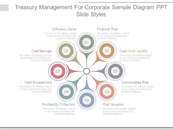 Treasury Management For Corporate Sample Diagram Ppt Slide Styles Treasury Management For Corporate Sample Diagram Ppt Slide Styles