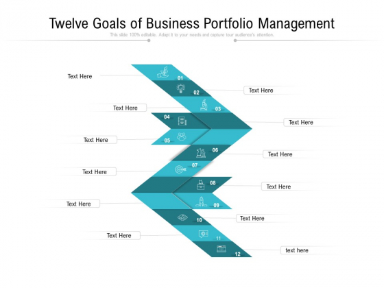 Twelve Goals Of Business Portfolio Management Ppt PowerPoint Presentation Gallery Show PDF Twelve Goals Of Business Portfolio Management Ppt PowerPoint Presentation Gallery Show PDF