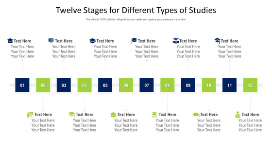 Twelve Stages For Different Types Of Studies Ppt PowerPoint Presentation Gallery Outline PDF Twelve Stages For Different Types Of Studies Ppt PowerPoint Presentation Gallery Outline PDF