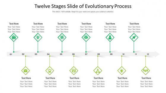 Twelve Stages Slide Of Evolutionary Process Ppt PowerPoint Presentation Gallery Good PDF Twelve Stages Slide Of Evolutionary Process Ppt PowerPoint Presentation Gallery Good PDF