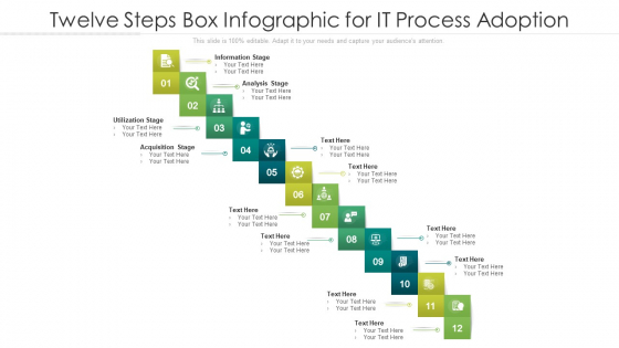 Twelve Steps Box Infographic For IT Process Adoption Ppt PowerPoint Presentation File Show PDF