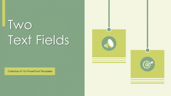 Two Text Fields Ppt PowerPoint Presentation Complete Deck With Slides