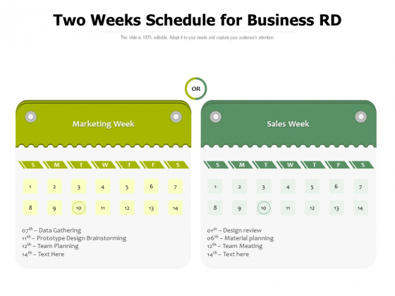 Two Weeks Schedule For Business RD Ppt PowerPoint Presentation Model Graphics Example PDF