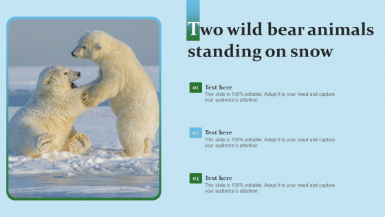 Two Wild Bear Animals Standing On Snow Microsoft PDF