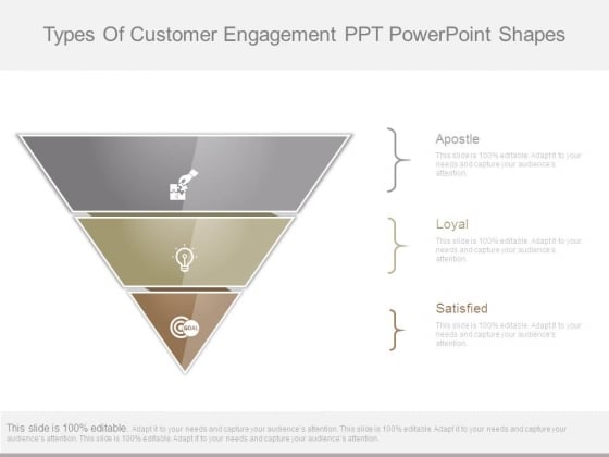 Types Of Customer Engagement Ppt Powerpoint Shapes