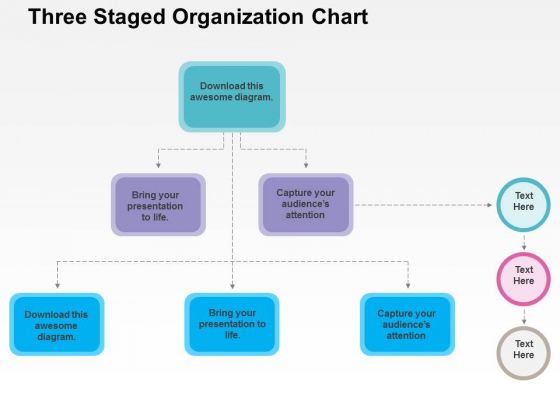 Three Staged Organization Chart PowerPoint Template Three Staged Organization Chart PowerPoint Template