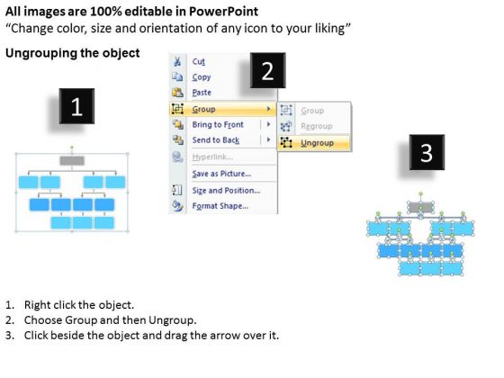 organization hierarchy