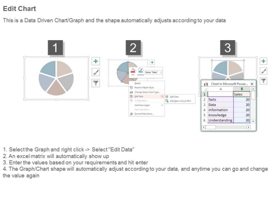 Understanding_Data_Facts_Ppt_Slide_Design_4
