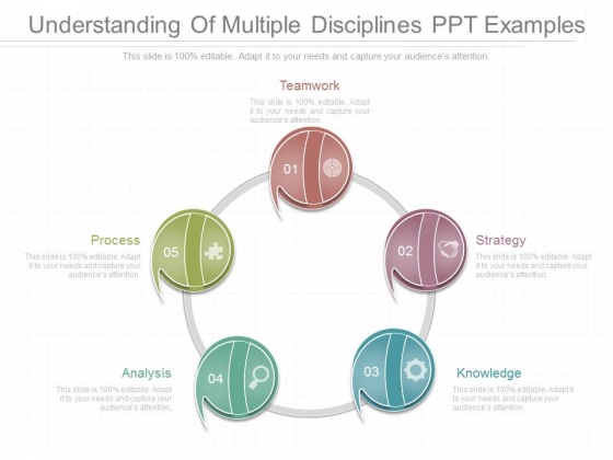 Understanding_Of_Multiple_Disciplines_Ppt_Examples_1