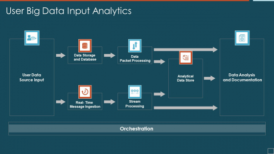 User Big Data Input Analytics Designs PDF