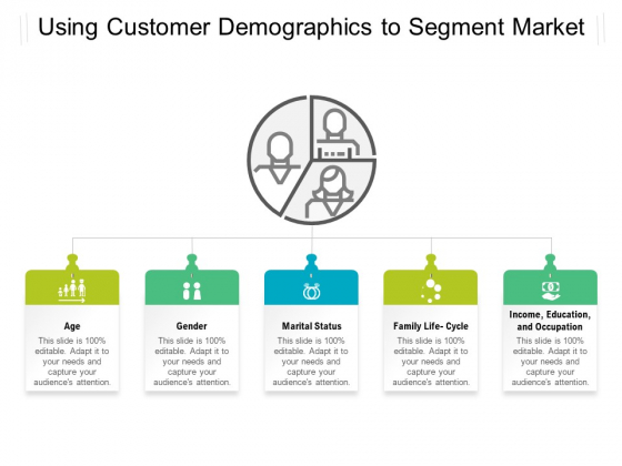 Using Customer Demographics To Segment Market Ppt PowerPoint Presentation File Graphic Images PDF Using Customer Demographics To Segment Market Ppt PowerPoint Presentation File Graphic Images PDF