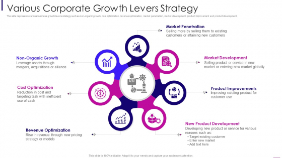 Various Corporate Growth Levers Strategy Designs PDF