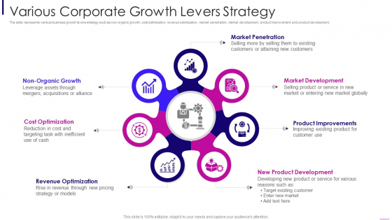 Various Corporate Growth Levers Strategy Designs PDF Various Corporate Growth Levers Strategy Designs PDF