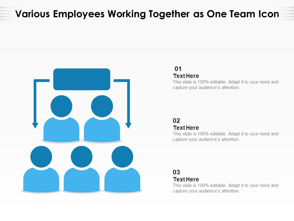 Various Employees Working Together As One Team Icon Ppt PowerPoint Presentation Professional Master Slide