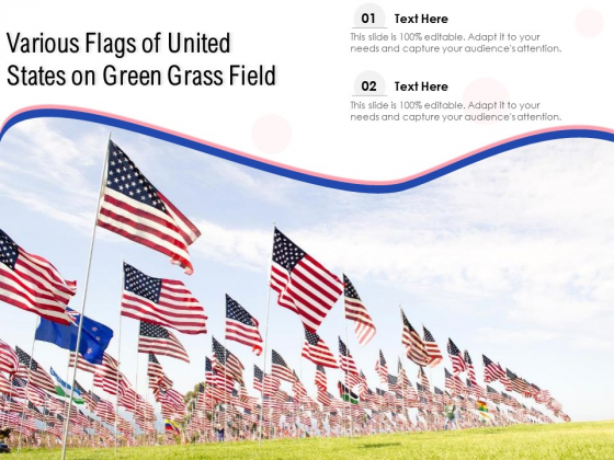 Various Flags Of United States On Green Grass Field Ppt PowerPoint Presentation Infographic Template Outline PDF