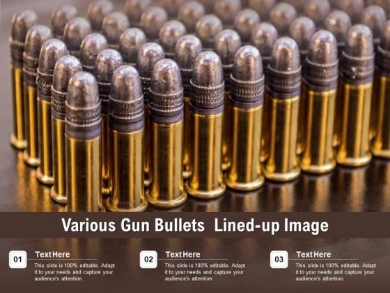 Various Gun Bullets Lined Up Image Ppt PowerPoint Presentation Ideas Example PDF Various Gun Bullets Lined Up Image Ppt PowerPoint Presentation Ideas Example PDF