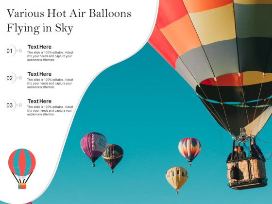 Various Hot Air Balloons Flying In Sky Ppt PowerPoint Presentation Model Microsoft PDF