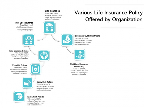 Various Life Insurance Policy Offered By Organization Ppt PowerPoint Presentation File Picture PDF