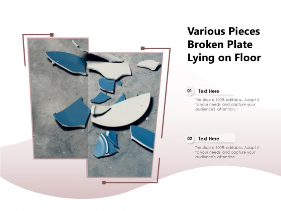 Various Pieces Broken Plate Lying On Floor Ppt PowerPoint Presentation Show Background Image PDF