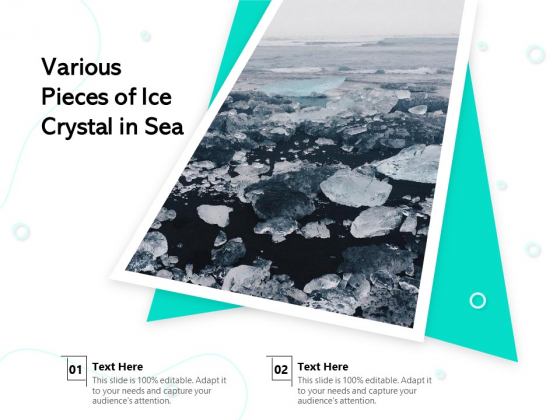 Various Pieces Of Ice Crystal In Sea Ppt PowerPoint Presentation Gallery Examples PDF