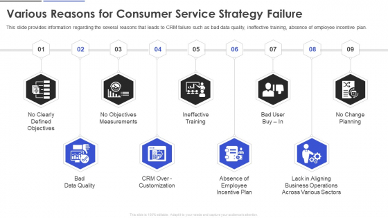 Various Reasons For Consumer Service Strategy Failure Sample PDF
