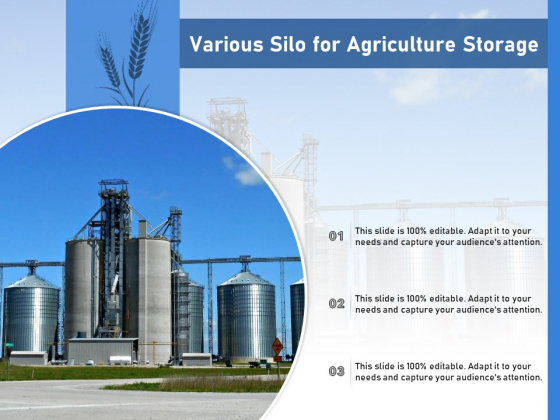 Various Silo For Agriculture Storage Ppt PowerPoint Presentation File Guide PDF Various Silo For Agriculture Storage Ppt PowerPoint Presentation File Guide PDF