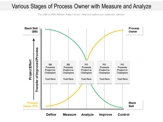Various Stages Of Process Owner With Measure And Analyze Ppt PowerPoint Presentation Gallery Show PDF Various Stages Of Process Owner With Measure And Analyze Ppt PowerPoint Presentation Gallery Show PDF