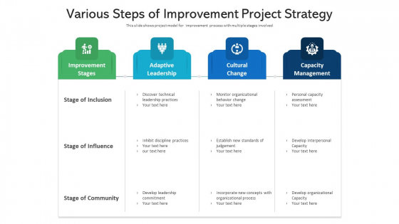 Various Steps Of Improvement Project Strategy Ppt Diagram Lists PDF