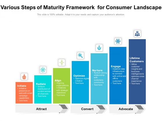 Various Steps Of Maturity Framework For Consumer Landscape Ppt PowerPoint Presentation Styles Display PDF Various Steps Of Maturity Framework For Consumer Landscape Ppt PowerPoint Presentation Styles Display PDF