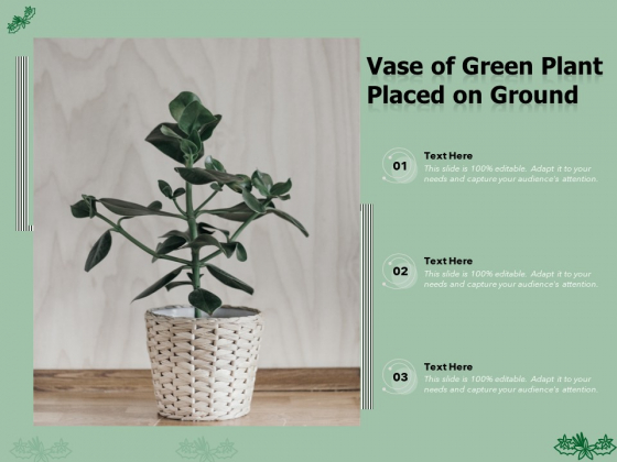 Vase Of Green Plant Placed On Ground Ppt PowerPoint Presentation Images PDF