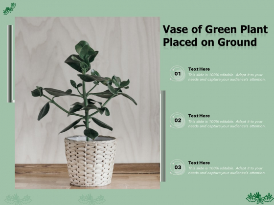 Vase Of Green Plant Placed On Ground Ppt PowerPoint Presentation Images PDF Vase Of Green Plant Placed On Ground Ppt PowerPoint Presentation Images PDF
