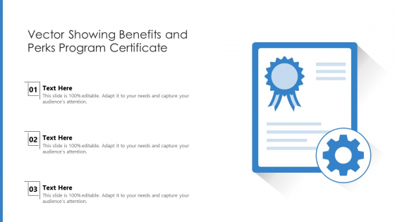 Vector Showing Benefits And Perks Program Certificate Ppt Infographics Diagrams PDF