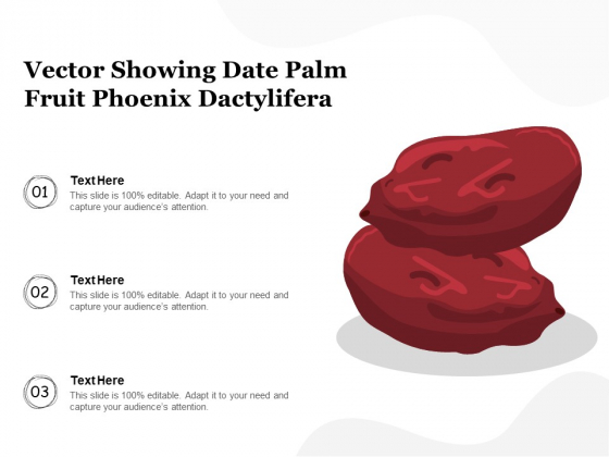 Vector Showing Date Palm Fruit Phoenix Dactylifera Ppt PowerPoint Presentation File Backgrounds PDF
