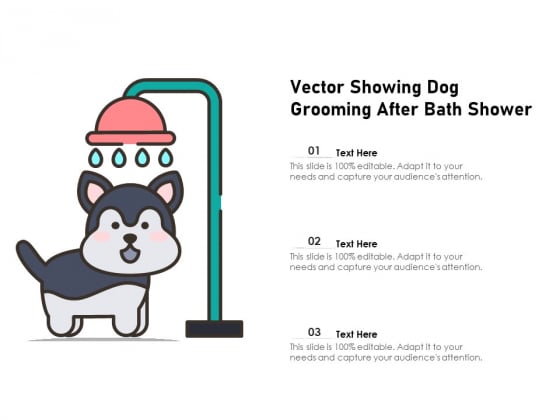 Vector Showing Dog Grooming After Bath Shower Ppt PowerPoint Presentation Gallery Graphics Design PDF