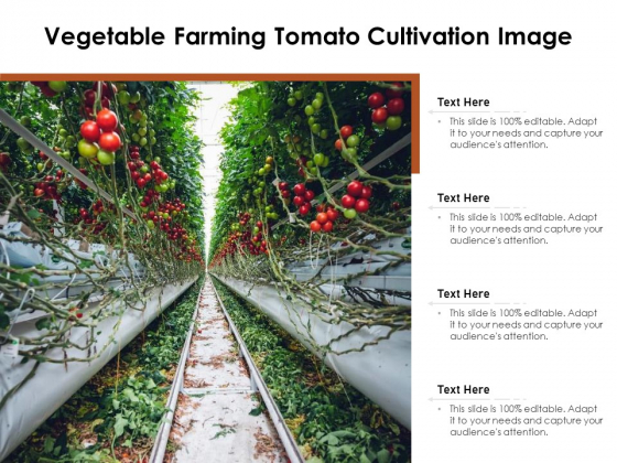 Vegetable Farming Tomato Cultivation Image Ppt PowerPoint Presentation Pictures Tips PDF Vegetable Farming Tomato Cultivation Image Ppt PowerPoint Presentation Pictures Tips PDF