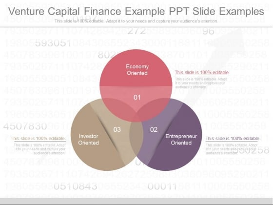 Venture Capital Finance Example Ppt Slide Examples