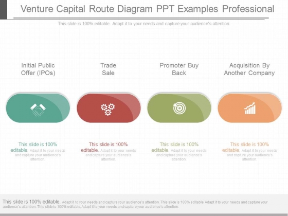 Venture Capital Route Diagram Ppt Examples Professional