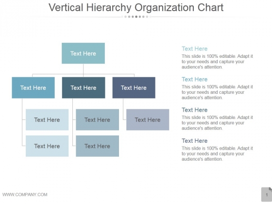 Vertical Hierarchy Organization Chart Ppt PowerPoint Presentation Layouts Vertical Hierarchy Organization Chart Ppt PowerPoint Presentation Layouts