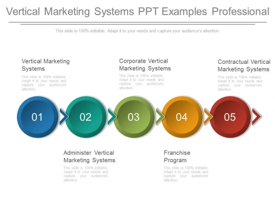 Vertical Marketing Systems Ppt Examples Professional Vertical Marketing Systems Ppt Examples Professional