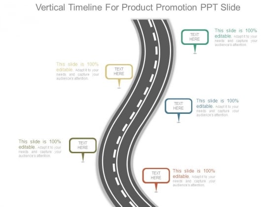 Vertical Timeline For Product Promotion Ppt Slide